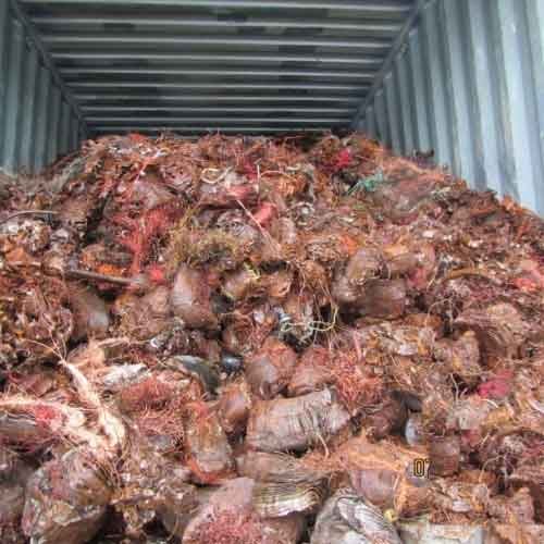 Cut Shear